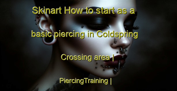 Skinart How to start as a basic piercing in Coldspring Crossing area | PiercingTraining | PiercingClasses | SkinartTraining-United States